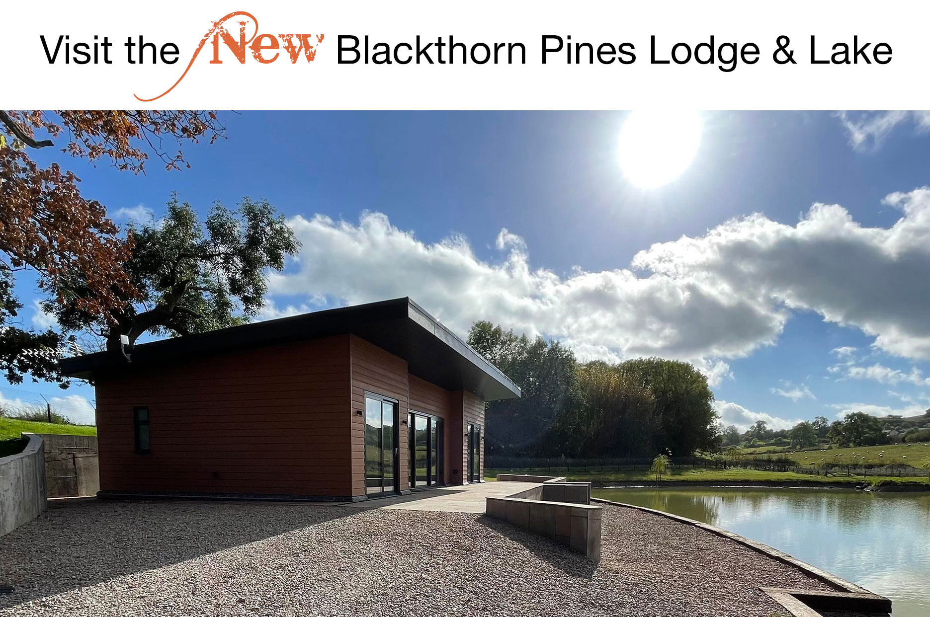Visit the :luxury Carp Fishing Lodge at Blackthorn Pines shropshire